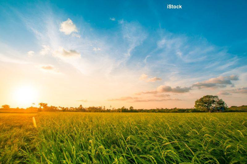 Vremea se indreapta in toata tara, luni; ploile se restrang, iar temperaturile ajung la 25 de grade. Prognoza meteo pana joi