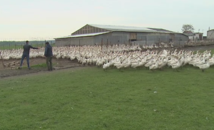 Afacerea care in strainatate aduce milioane de euro, dar in Romania doar un om o are. Cum functioneaza