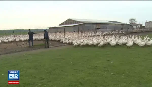 Afacerea care in strainatate aduce milioane de euro, dar in Romania doar un om o are. Cum functioneaza