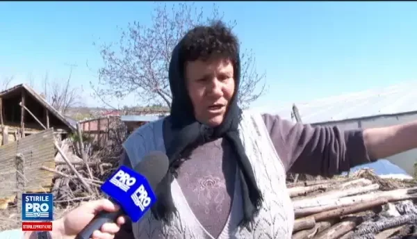 Iarna de saptamana trecuta a distrus 300 de hectare de solarii in Matca. Pierderile uriase suferite de legumicultori