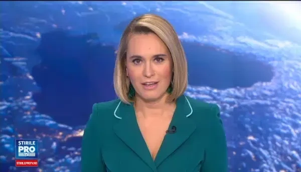 Un pui de urs a urcat intr-un copac de la marginea orasului, dar n-a stiut sa si coboare. Cum a luat sfarsit aventura