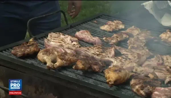 Regula unor tineri iesiti la primul gratar de anul acesta la Cernica: Cine pune mana pe telefon plateste toata masa