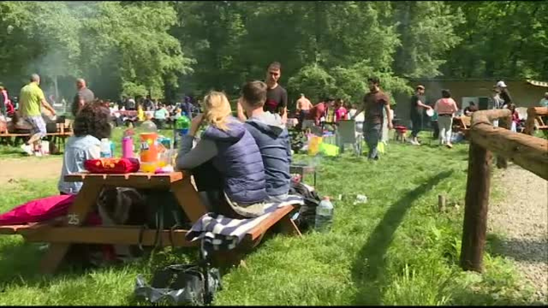 La Cernica s-au adunat sute de oameni si au incis gratarele. Cum petrec romanii de 1 mai