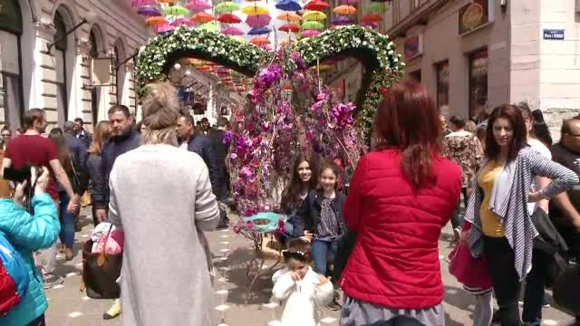 Festival de flori in centrul Timisoarei. Artisti din toata Europa au creat decorul impresionant