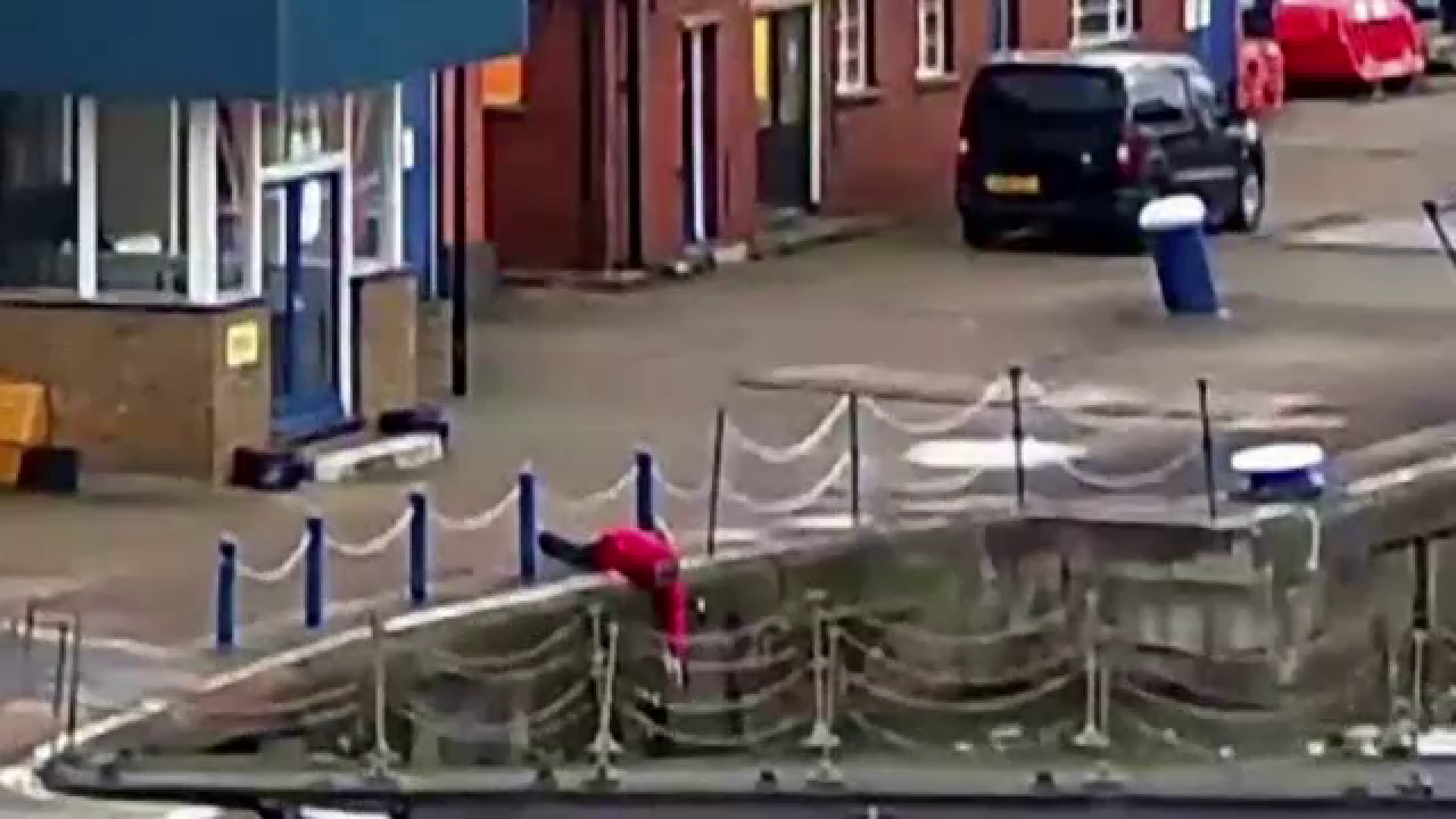 Operatiunea de salvare a unui motan cazut in apa, surprinsa de camera. VIDEO