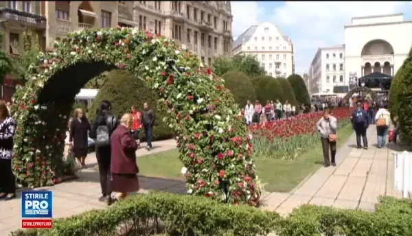 Festival de flori in centrul Timisoarei. Artisti din toata Europa au creat decorul impresionant