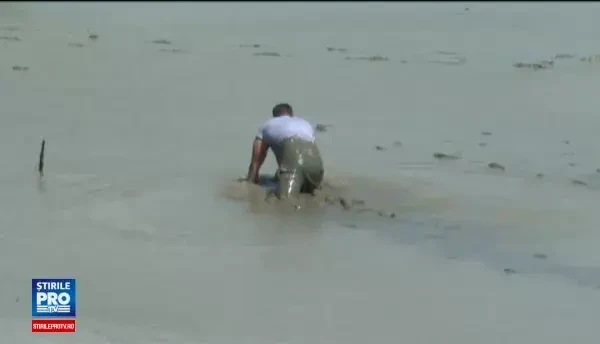 Zeci de oameni fara venituri s-au inghesuit in albia secata a Argesului dupa peste. Chiar si copii au scormonit in namol