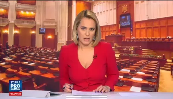 Nicolicea si Iordache vor modificarea Statutului alesilor. Cei chemati la comisiile de ancheta vor fi obligati sa se prezinte