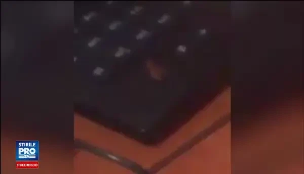 Caz dificil la care lucreaza IPJ Teleorman. Politistii dezbat daca sa dea afara un agent din cauza unui gandac