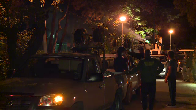 Primaria Capitalei a declarat razboi capuselor. Peste 3.700 de litri de insecticid au fost raspanditi in Parcul Tineretului