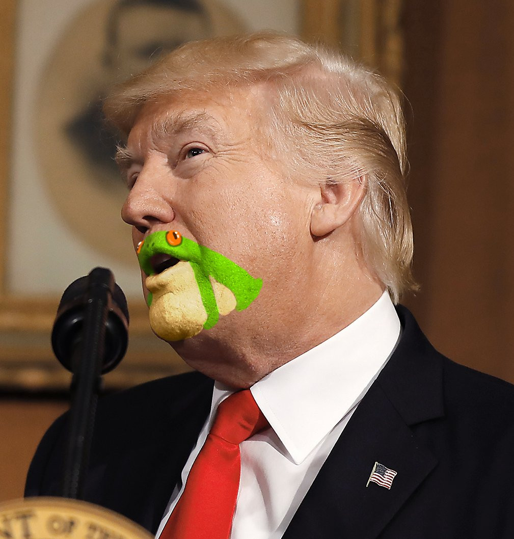 Trump muza si broscuta