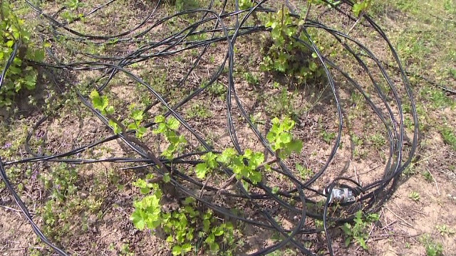 Dupa doua saptamani, sute de oameni inca nu au curent electric in Galati. “Nici lumanari nu gasim”