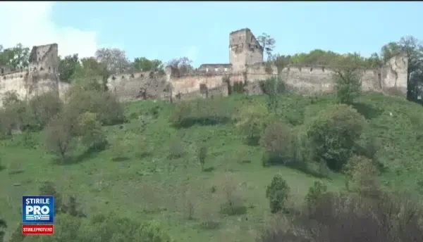 Planta preferata a Printului Charles, sarbatorita la Saschiz. La fiecare vizita, gusta dulceata si isi ia si pentru acasa