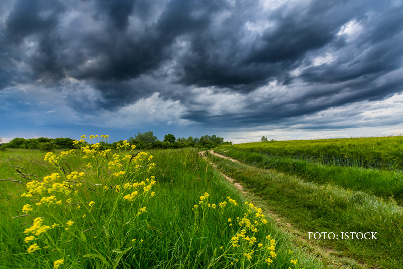 Vremea se strica incepand de luni si va ploua in toata tara. La munte ar putea chiar sa ninga