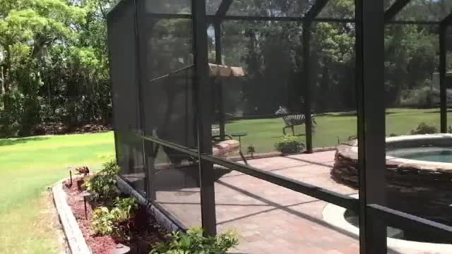 Zebra ratacita pe strazile unui oras din Statele Unite. Un sofer a fost ranit din cauza ei