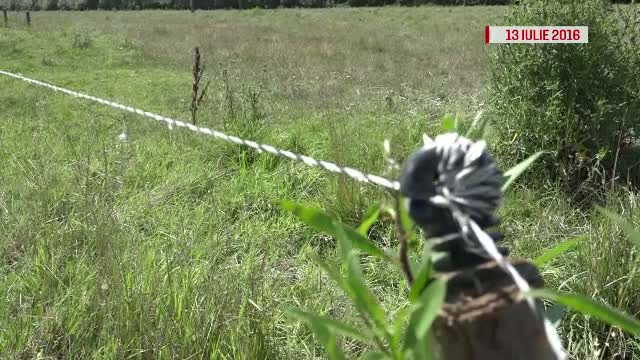 Barbatul care si-a montat un gard electric in jurul proprietatii, condamnat la 5 ani de inchisoare cu executare