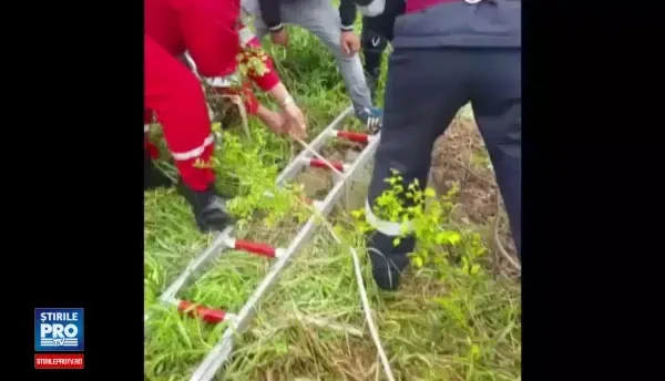 Un catel ghinionist a fost salvat de pompierii ISU Sibiu dintr-un canal. Video cu operatiunea de salvare
