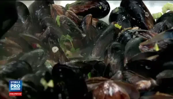 Ce putem manca in aceasta vara pe litoral. Bucatarii au preparat retete apetisante cu peste si fructe de mare