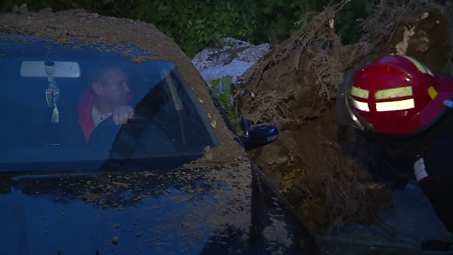 Un copac s-a prabusit peste doua masini din Sectorul 3 al Capitalei. Pe cine dau vina locatarii pentru acest incident