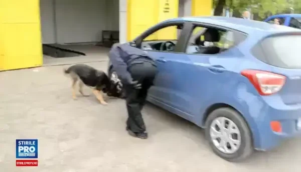 Politistii din Vama Albita au descoperit 20g de cocaina intr-o masina. Soferul sustine ca e o inscenare a unui barbat gelos