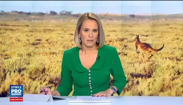 O fetita de 9 ani a fost muscata de cap de un cangur, la gradina zoologica. Mama ei a filmat incidentul