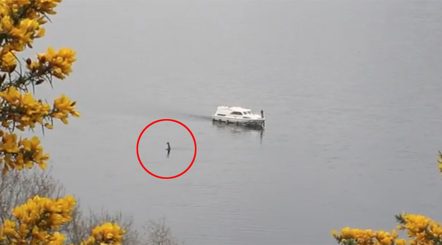 O noua inregistrare VIDEO cu "monstrul din Loch Ness". Mai multi turisti au fost martori la o aparitie neobisnuita pe lac
