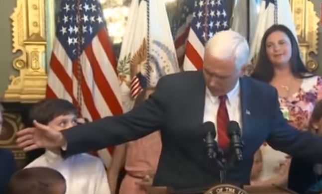 Vicepresedintele SUA, Mike Pence, a lovit din greseala un baiat, la Casa Alba. Care a fost reactia copilului. VIDEO
