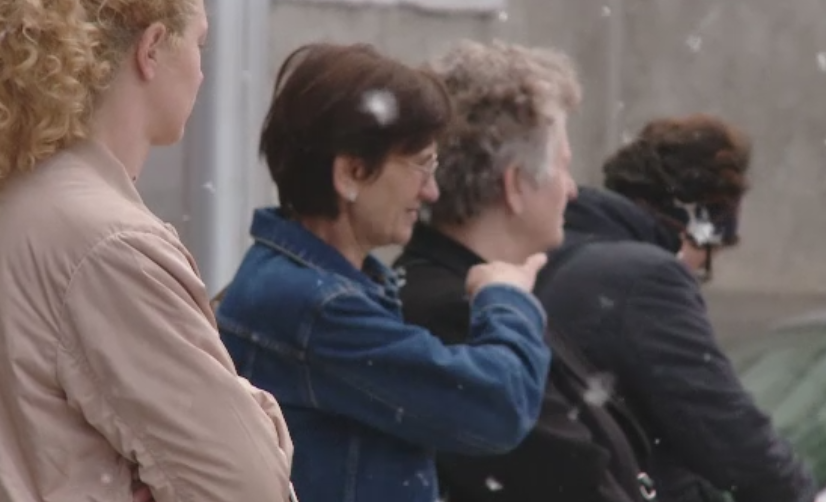 Puful plopilor declanseaza alergiile a mii de romani in aceasta perioada. Decizia luata de autoritatile din Timisoara