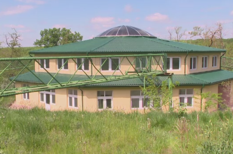 Casa pentru maimute care a costat 500.000 euro si inca nu e gata. Metrul patrat, mai scump decat intr-un cartier rezidential