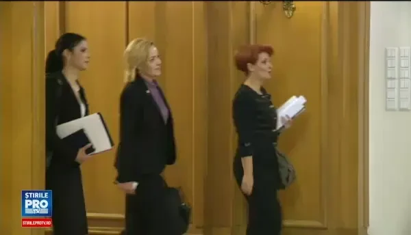 Dragnea a mustrat-o pe Olguta Vasilescu pentru afirmatiile despre indemnizatiile copiilor. Reactia deputatei