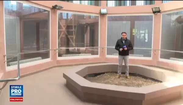 Casa pentru maimute care a costat 500.000 euro si inca nu e gata. Metrul patrat, mai scump decat intr-un cartier rezidential