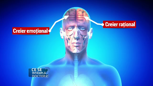 csid dezvoltare neurologica