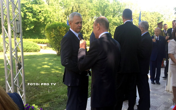 Subventii de milioane de euro pentru crescatorii de porci. Ferma fiului lui Dragnea ar urma sa beneficieze de aceasta lege