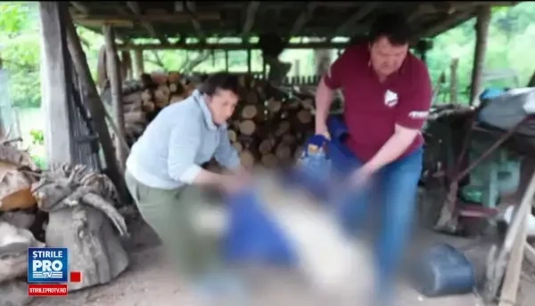 Maicutele de la Manastirea Recea, acuzate de un localnic ca i-au omorat trei caini.