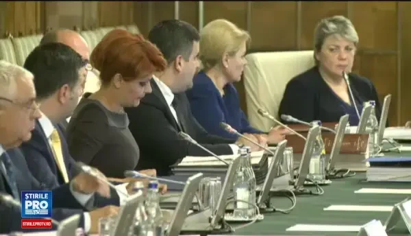 Olguta Vasilescu: Vom propune o varianta de plafonare a indemnizatiilor pentru cresterea copilului. Reactia lui Grindeanu