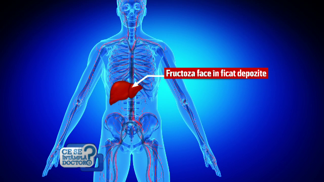 O cantitate mare de fruncte consumate face acelasi rau ca zaharul pur. Care este cel mai bun zahar pentru organism