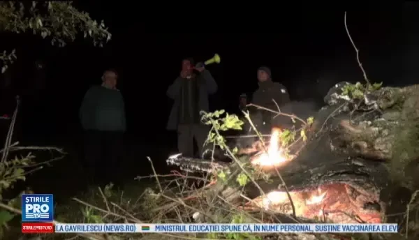 Localnicii dintr-un sat bacauan, in razboi cu porcii mistreti de 3 saptamani. Animalele, urmarite cu o camera cu termoviziune