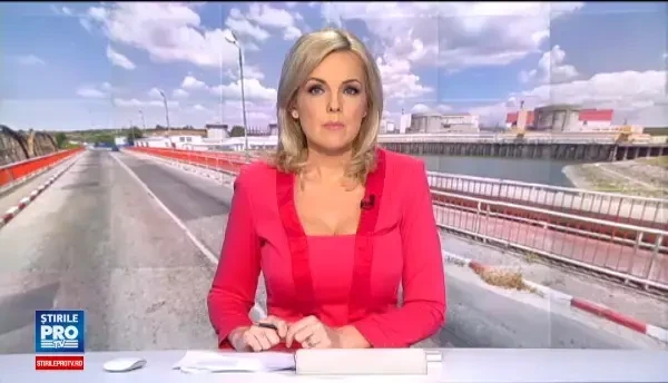 Probleme tehnice la centrala nucleara de la Cernavoda, la scurt timp dupa atacul cibernetic. Anuntul facut de oficiali