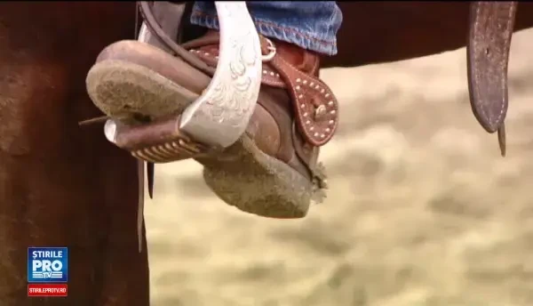 Uma, calul salvat de actorul Denis Stefan, a devenit speranta Romaniei la Campionatul European de Dresaj Western