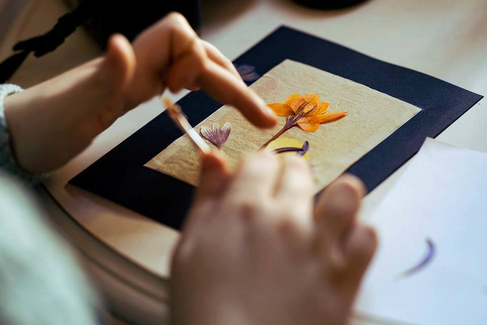 "Zilele Culturii Japoneze" la Bucuresti: workshop-uri de sushi si ikebana, demonstratii de kendama, anime, ceremonia ceaiului