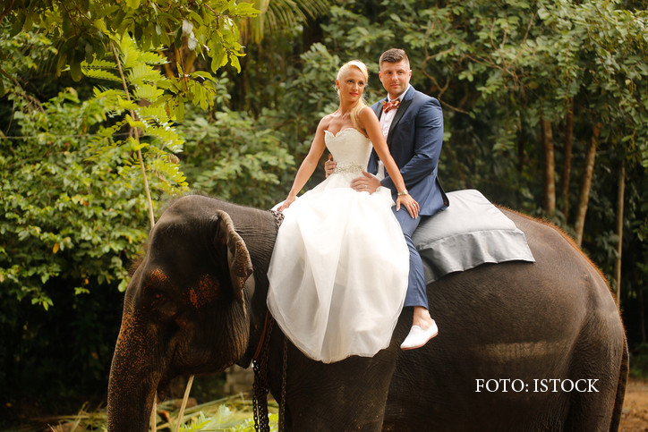 Tinerii care se casatoresc ar putea primi 1.500 de lei de la Primarie. Ce conditii trebuie sa indeplineasca