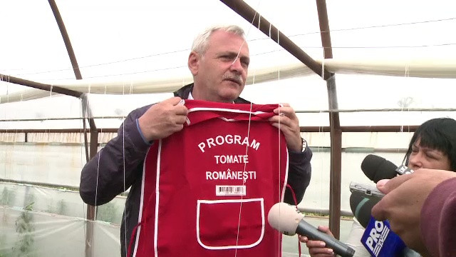 Dragnea vrea ca agricultorii care vand rosii romanesti sa poarte sort cu cod de bare. Producatorii ii cer insa altceva
