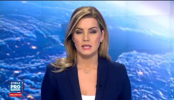 Tariceanu, adeptul gratierii si pedepselor reduse, cere ca samsarul de masini care l-a inselat sa fie mai aspru pedepsit