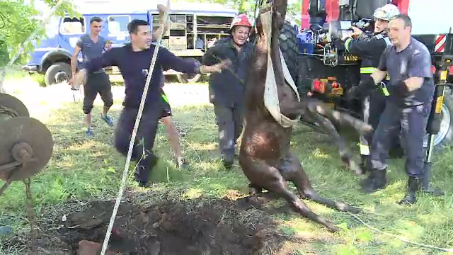 Manz de o luna, cazut intr-o fantana adanca de 10 metri, salvat de pompieri, la Arad. Cum a decurs operatiunea