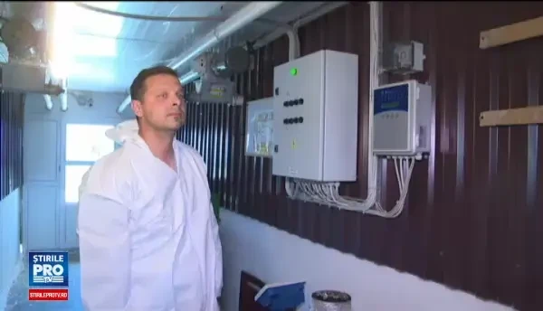 Romania, in topul importatorilor de carne de porc din UE, desi producatorii se lauda cu cea mai buna calitate din Europa