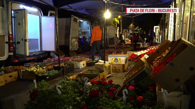 Romania importa flori in valoare de 250 de milioane de euro. Ministrul Agriculturii nu are nicio strategie in acest sens