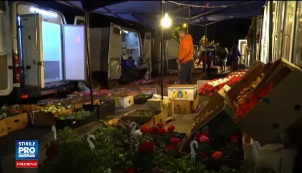 Romania importa flori in valoare de 250 de milioane de euro. Ministrul Agriculturii nu are nicio strategie in acest sens