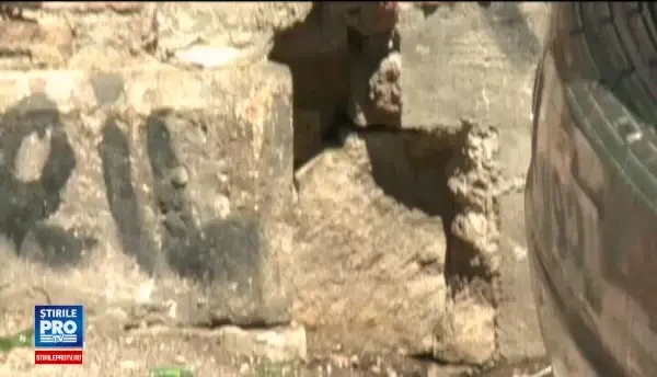 Sute de sobolani au invadat terasele si restaurantele din Centrul Vechi. Patron: Se simt ca la ei acasa