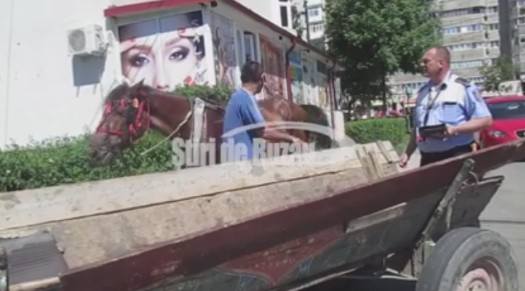 Un carutas beat a zgariat 10 masini in centrul Buzaului. A ajuns la spitalul de psihiatrie dupa incident