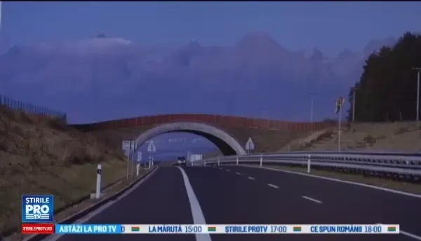 Coridoare ecologice pentru vietuitoare. Problemele aparute in cazul proiectului autostrazii Targu Mures - Iasi